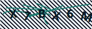 Verification code image
